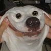 crayonpaste